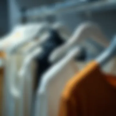 Comparison of Hanger Types Comparative display of clothing on standard versus white velvet hangers