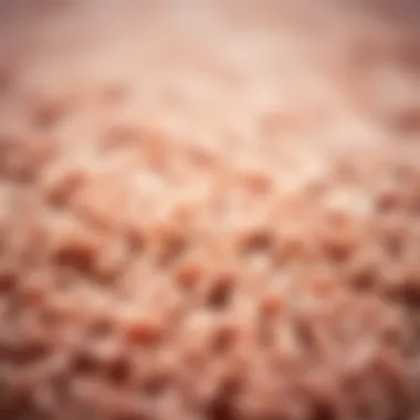 The Intricacies of Velvet Texture Close-up detail of velvet rug texture and color