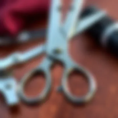 Close-up of round nose scissors showcasing their unique design