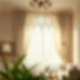 Elegant Sunlit Room with Lace Curtains Elegant white lace tier curtains in a sunlit room