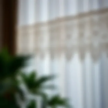 Intricate Lace Detailing on Tier Curtains Close-up of intricate lace detailing on tier curtains