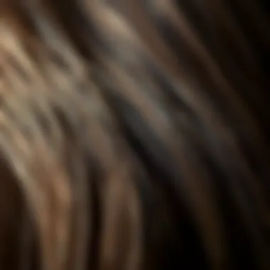 Illustration of split ends on hair strands