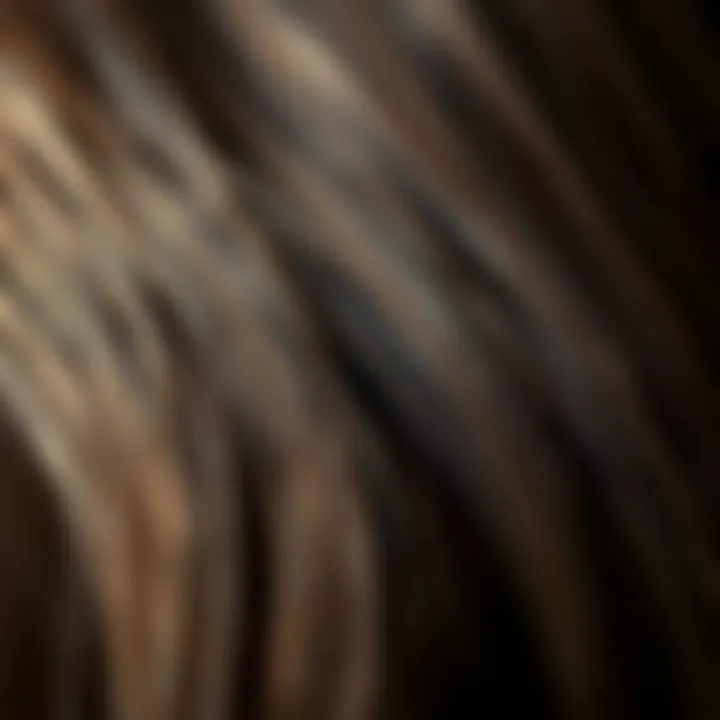 Illustration of split ends on hair strands