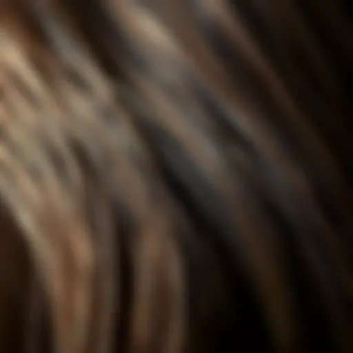 Close-up view of damaged hair strands Illustration of split ends on hair strands